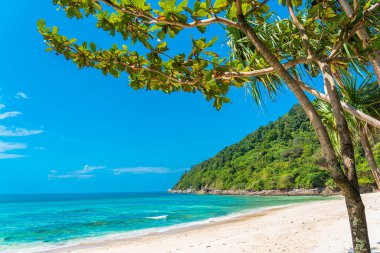 Güzel tropikal deniz okyanusu, hindistan cevizi ve mavi gökyüzünde beyaz bulut etrafındaki diğer ağaçlarla seyahat etmek için.