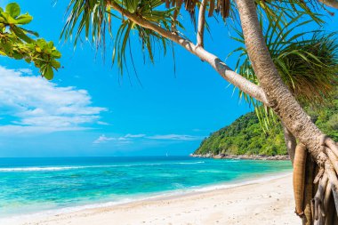 Güzel tropikal deniz okyanusu, hindistan cevizi ve mavi gökyüzünde beyaz bulut etrafındaki diğer ağaçlarla seyahat etmek için.