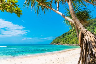 Güzel tropikal deniz okyanusu, hindistan cevizi ve mavi gökyüzünde beyaz bulut etrafındaki diğer ağaçlarla seyahat etmek için.