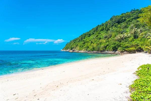 Krásná Tropická Pláž Moře Oceán Kokosem Další Strom Kolem Bílého — Stock fotografie
