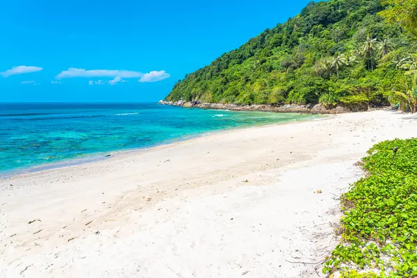 Belle Plage Tropicale Océan Mer Avec Noix Coco Autre Arbre — Photo