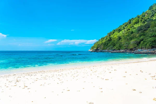 Bela Praia Tropical Mar Oceano Com Coco Outra Árvore Torno — Fotografia de Stock