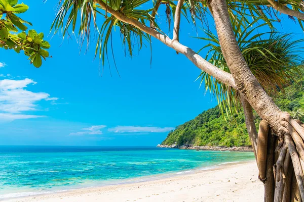 Prachtig Tropisch Strand Zee Oceaan Met Kokosnoot Andere Boom Rond — Stockfoto