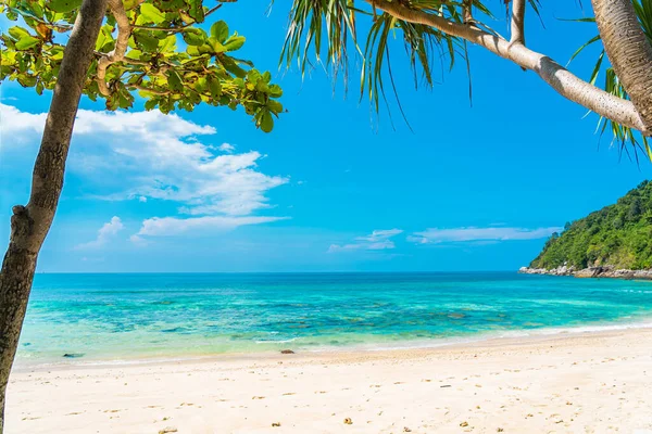 Hermosa Playa Tropical Mar Océano Con Coco Otro Árbol Alrededor — Foto de Stock