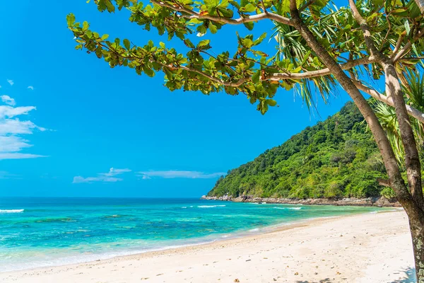 青い空に白い雲の周りにココナッツや他の木と美しい熱帯のビーチの海レジャー旅行のための — ストック写真