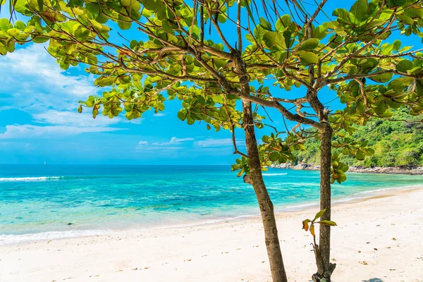 美丽的热带海滩海 蓝天白云上挂着椰子和其他树木 供游玩 — 图库照片
