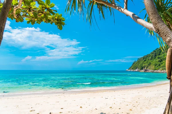 青い空に白い雲の周りにココナッツや他の木と美しい熱帯のビーチの海レジャー旅行のための — ストック写真