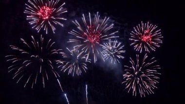 Gece gökyüzündeki güzel havai fişeklerin görüntüleri