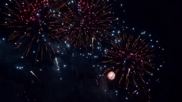 Felvétel Gyönyörű Tűzijáték Éjszakai Égen — Stock videók
