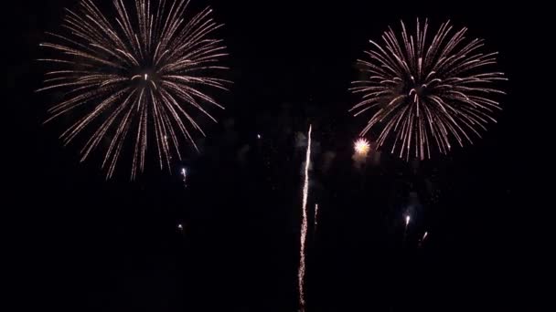 Images Rapprochées Feux Artifice Explosant Dans Ciel Nocturne — Video