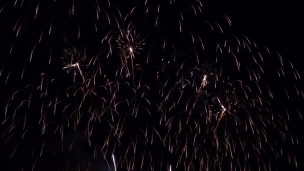 Detailní Záběry Ohňostroje Explodujícího Noční Obloze — Stock video