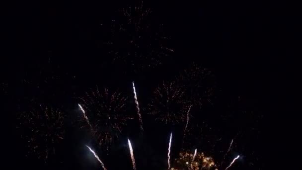 Riprese Ravvicinate Fuochi Artificio Che Esplodono Nel Cielo Notturno — Video Stock