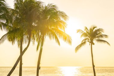 Gün batımında siluet hindistan cevizi palmiyesi ağacı olan güzel bir deniz manzarası ya da doğa arka planı için gün doğumu.