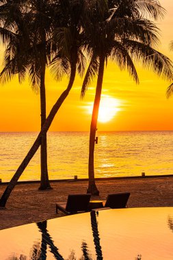 Gün batımında siluet hindistan cevizi palmiyesi ağacı olan güzel bir deniz manzarası ya da doğa arka planı için gün doğumu.