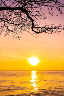 Gün batımında siluet hindistan cevizi palmiyesi ağacı olan güzel bir deniz manzarası ya da doğa arka planı için gün doğumu.