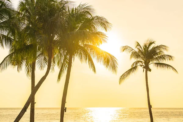 Hermoso Paisaje Mar Océano Con Silueta Cocotero Palmera Atardecer Amanecer —  Fotos de Stock