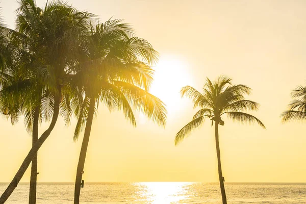 Vackert Landskap Havet Med Siluett Kokos Palm Vid Solnedgång Eller — Stockfoto