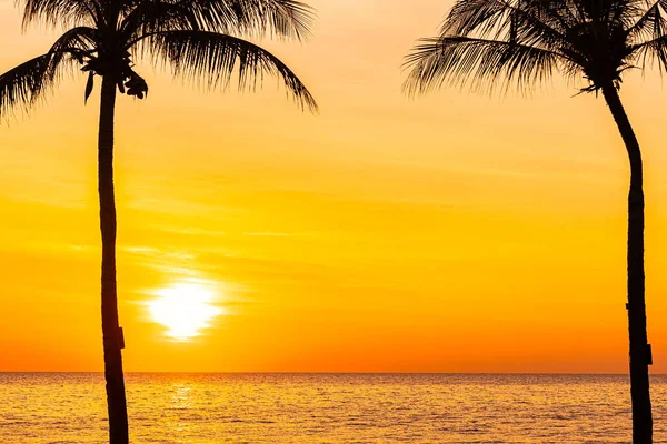 Gyönyörű Táj Tenger Óceán Sziluett Kókusz Pálmafa Naplementekor Vagy Napkelte — Stock Fotó