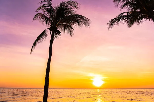 日落或日出时带着椰子树的美丽海洋景观 以自然为背景 — 图库照片
