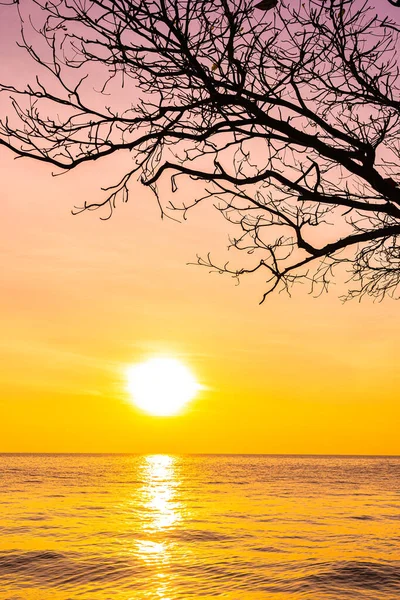 Gün batımında siluet hindistan cevizi palmiyesi ağacı olan güzel bir deniz manzarası ya da doğa arka planı için gün doğumu.