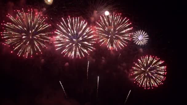 夜空に爆発する花火のクローズアップ映像 — ストック動画