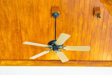 Elektrik Tavanı vantilatör dekorasyonu odanın içi