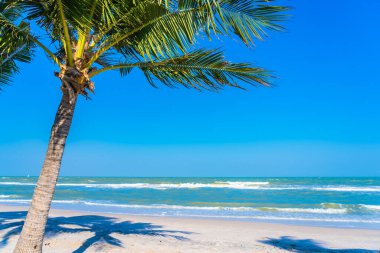 Mavi gökyüzü arka planında palmiye ağacı olan güzel tropikal deniz okyanusu.