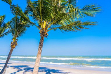 Mavi gökyüzü arka planında palmiye ağacı olan güzel tropikal deniz okyanusu.