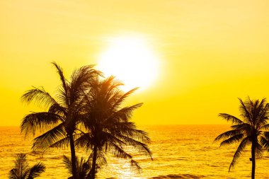 Güneşin doğuşunda ya da batışında tatil için palmiye ağaçları olan güzel tropik deniz okyanusu.