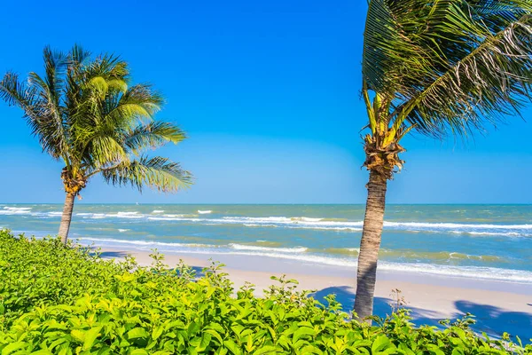 Schöner Tropischer Strand Meer Ozean Mit Palme Auf Blauem Himmel — Stockfoto