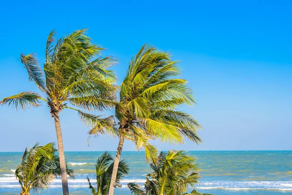 Schöner Tropischer Strand Meer Ozean Mit Palme Auf Blauem Himmel — Stockfoto