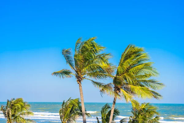 Schöner Tropischer Strand Meer Ozean Mit Palme Auf Blauem Himmel — Stockfoto