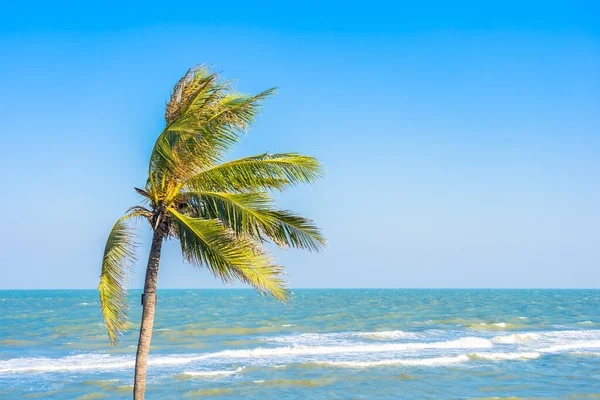 Schöner Tropischer Strand Meer Ozean Mit Palme Auf Blauem Himmel — Stockfoto
