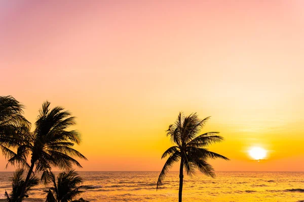 日出或日落时美丽的热带海滩海 有棕榈树作休憩之用 — 图库照片