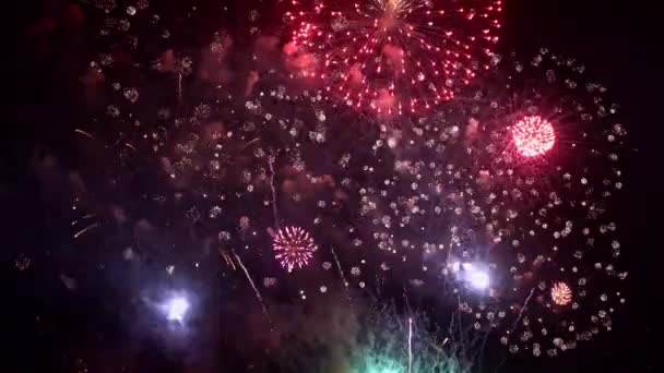 Close Footage Fireworks Night Sky — Stock Video