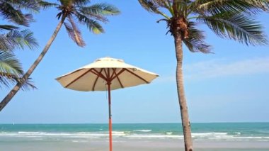 Gün batımında deniz kıyısı çevresinde hindistan cevizi palmiyesi ağacı ya da tatil için gün doğumu