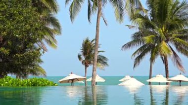 Gün batımında deniz kıyısı çevresinde hindistan cevizi palmiyesi ağacı ya da tatil için gün doğumu