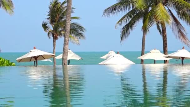 Kokosnoot Palmboom Rond Zee Strand Oceaan Bij Zonsondergang Zonsopgang Voor — Stockvideo