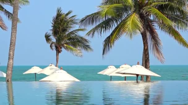Palmy Kokosowe Wokół Morza Ocean Plaży Zachodzie Słońca Lub Wschodzie — Wideo stockowe