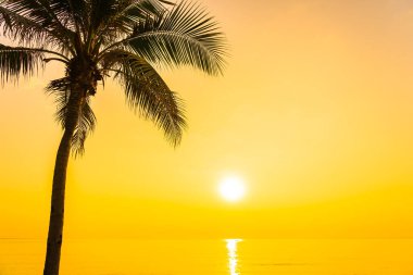 Gün batımında deniz kıyısı çevresinde hindistan cevizi palmiyesi ağacı ya da tatil için gün doğumu