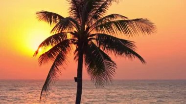 Güzel dalgalı denizin sakin görüntüleri.