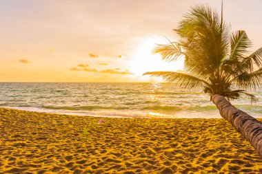 Hindistan cevizi palmiyesi etrafındaki güzel tropikal deniz okyanusu gün batımında veya gün doğumunda tatil için arka planda.