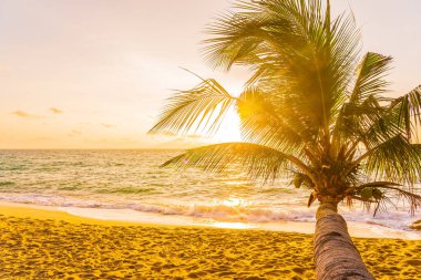 Hindistan cevizi palmiyesi etrafındaki güzel tropikal deniz okyanusu gün batımında veya gün doğumunda tatil için arka planda.