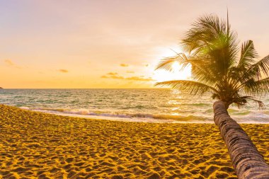 Hindistan cevizi palmiyesi etrafındaki güzel tropikal deniz okyanusu gün batımında veya gün doğumunda tatil için arka planda.