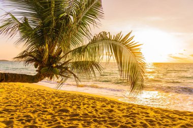 Hindistan cevizi palmiyesi etrafındaki güzel tropikal deniz okyanusu gün batımında veya gün doğumunda tatil için arka planda.