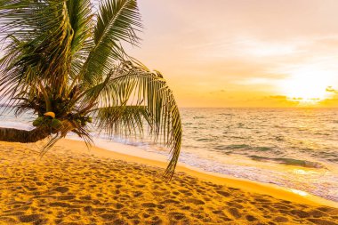 Hindistan cevizi palmiyesi etrafındaki güzel tropikal deniz okyanusu gün batımında veya gün doğumunda tatil için arka planda.