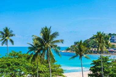 Güzel tropikal deniz okyanusu beyaz bulut etrafında hindistan cevizi palmiyesi ağacı tatil için mavi gökyüzü