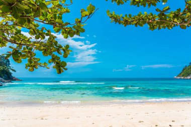 Güzel tropikal deniz okyanusu, hindistan cevizi ve mavi gökyüzünde beyaz bulut etrafındaki diğer ağaçlarla seyahat etmek için.