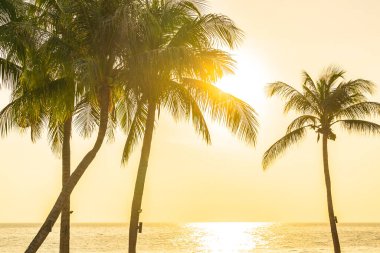 Hindistancevizi palmiye ağaçlarının siluetleri ve lüks bir otel tesisinde yüzme havuzunun etrafında sandalye havuzu olan güzel gündoğumu, Vintage Filtresi.