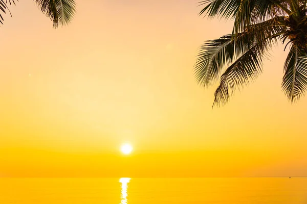 Coconut Palm Träd Runt Havet Stranden Havet Vid Solnedgång Eller — Stockfoto